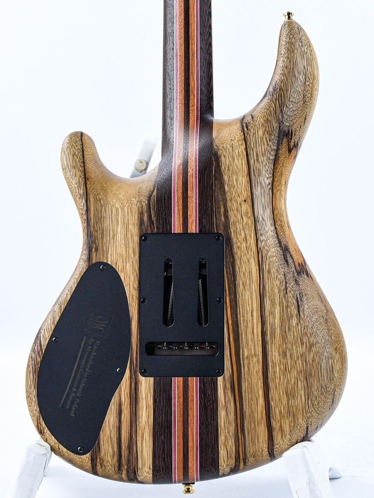 Mayones Regius V24 6 Lagoon Burst | The Fellowship of Acoustics